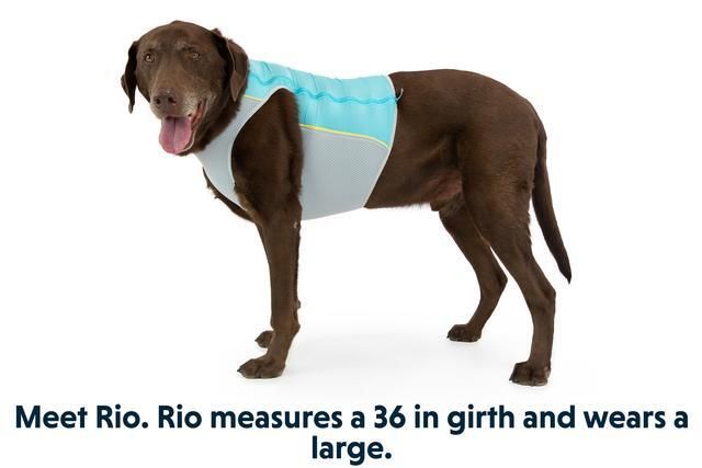 Ruffwear Jet Stream Dog Cooling Vest