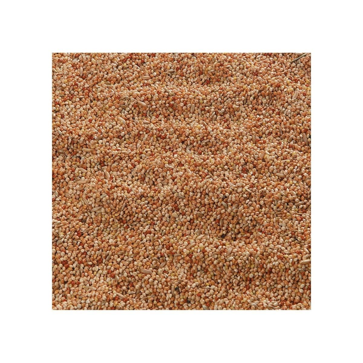 Flamingo Parakeet Bird Food 1kg