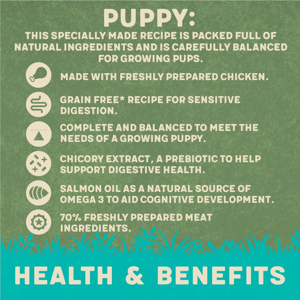 Harringtons Chicken & Potato Grain Free Wet Puppy Food 380g