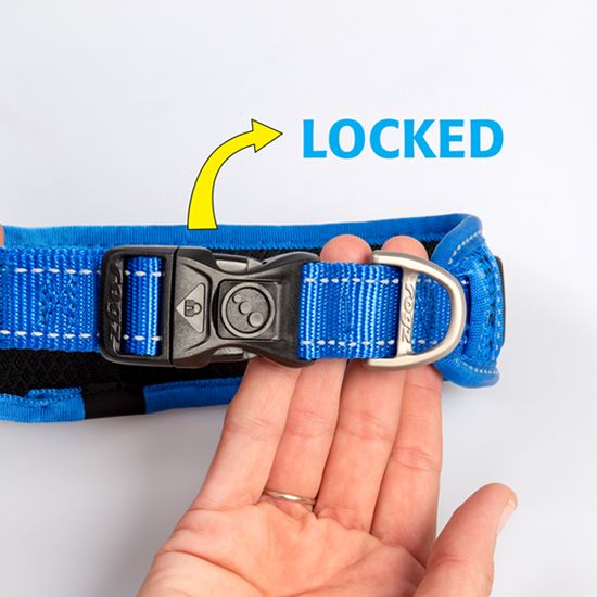 Rogz Classic Padded Dog Collar