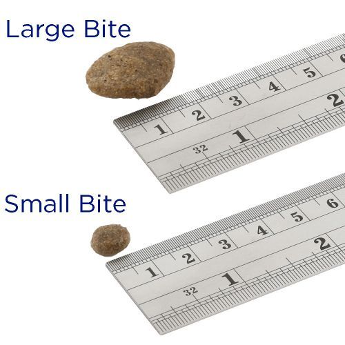 Fish4Dogs Finest Salmon Large Kibble Adult Dry Dog Food