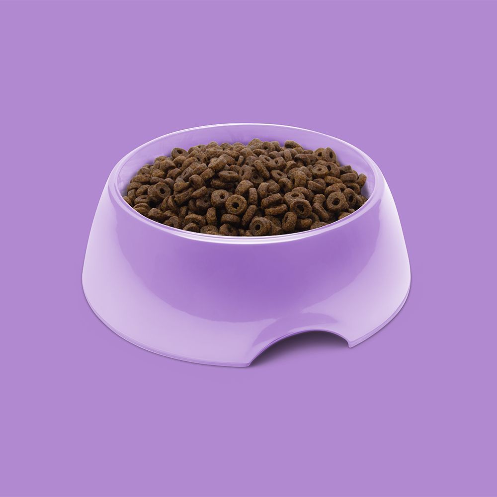 Symply Fresh Turkey Adult Small Breeds Dry Dog Food