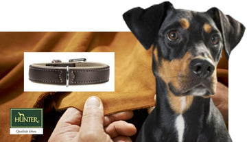 Hunter Canadian Elk Dog Leash