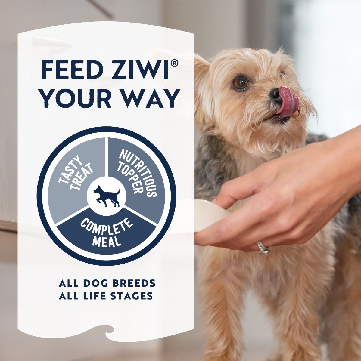 ZIWI Peak Air-Dried Lamb Recipe Dry Dog Food