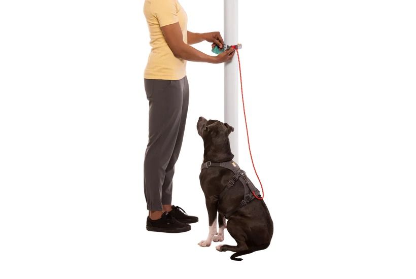 Ruffwear Hitch Hiker Dog Portable Hitch & Leash Combo