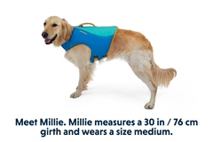 Ruffwear Float Coat Dog Life Jacket