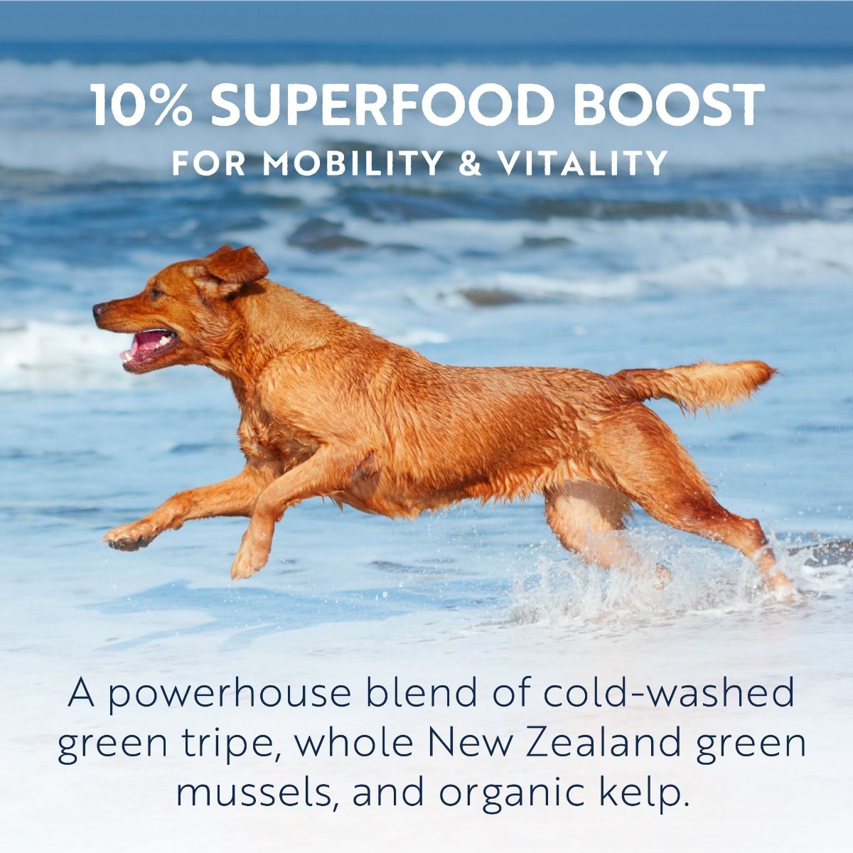 ZIWI Peak Air-Dried Beef Recipe Dry Dog Food