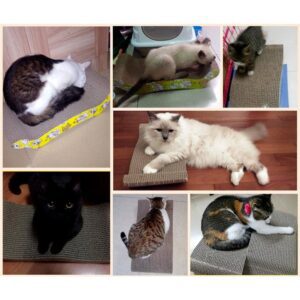 Cozy Paws Cat Scratching Board With Catnip