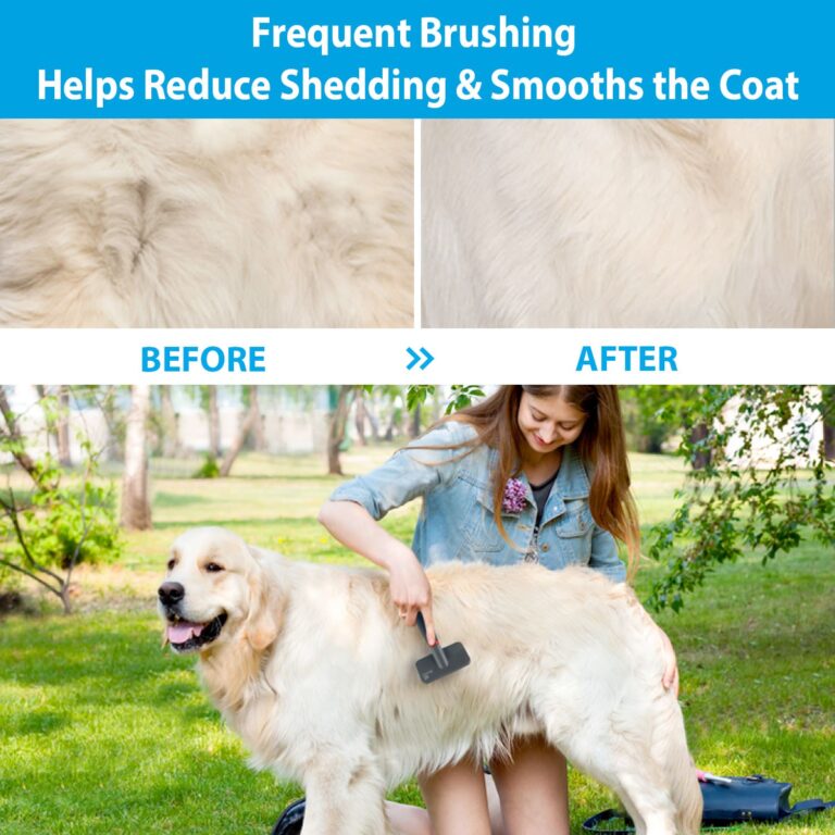 GiGwi Slicker Brush for Dogs and Cats