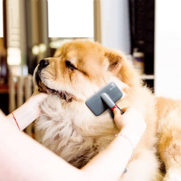 GiGwi Slicker Brush for Dogs and Cats