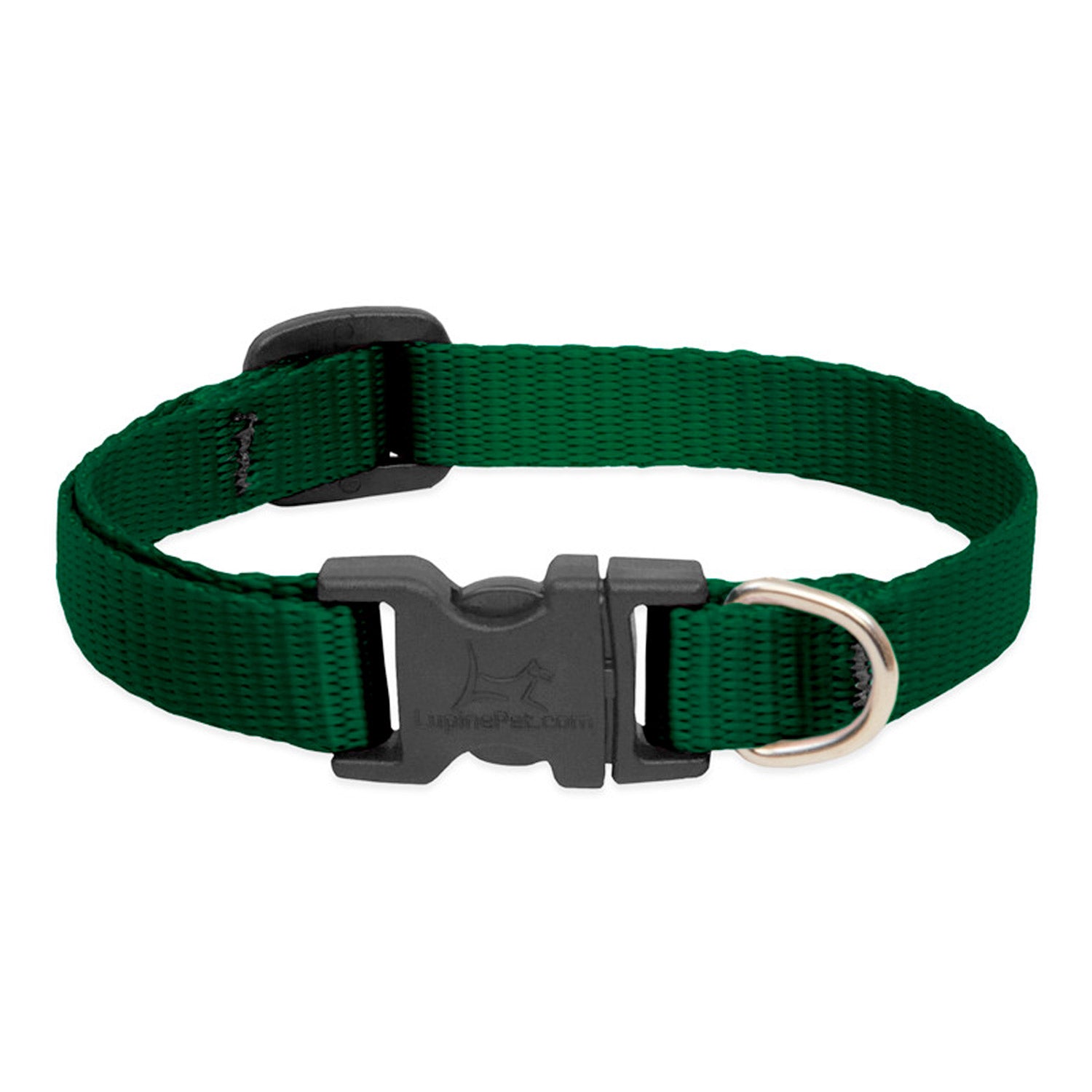 BASICS Adjustable Collar GREEN 1″ FOR LARGE DOGS
