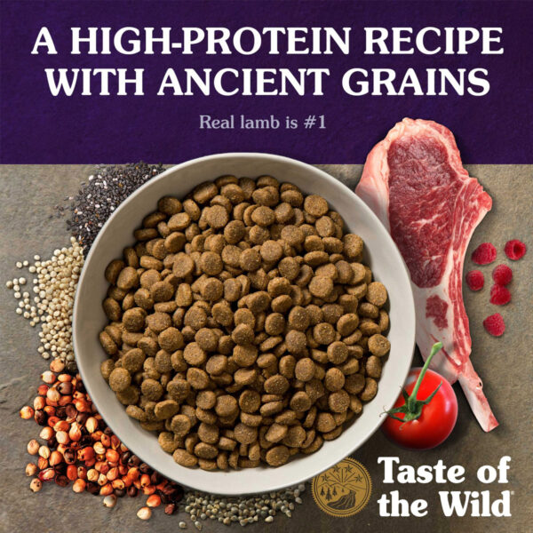 Taste of the Wild: Ancient Mountain Canine Recipe