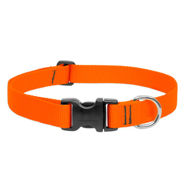 BASICS Adjustable Collar ORANGE 1″ FOR BIG DOGS
