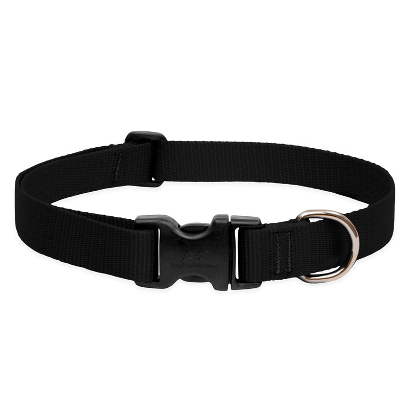 BASICS Adjustable Collar BLACK 3/4″ FOR MEDIUM DOGS