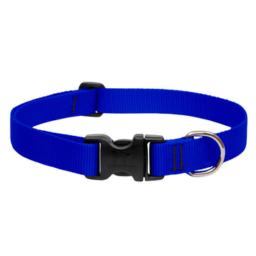 BASICS Adjustable Collar BLUE 3/4″ FOR MEDIUM DOGS