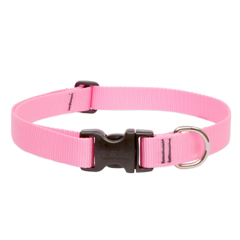 BASICS Adjustable Collar PINK 1/2″ FOR SMALL DOGS