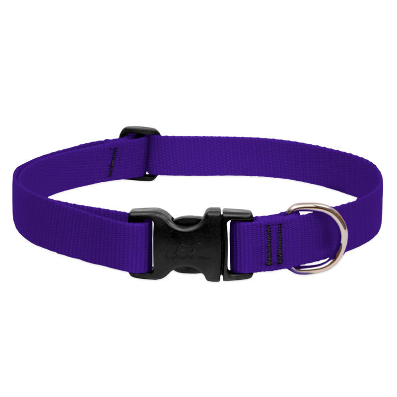 BASICS Adjustable Collar PURPLE 1/2″ FOR SMALL DOGS