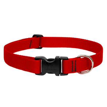 BASICS Adjustable Collar RED 3/4″ FOR MEDIUM DOGS