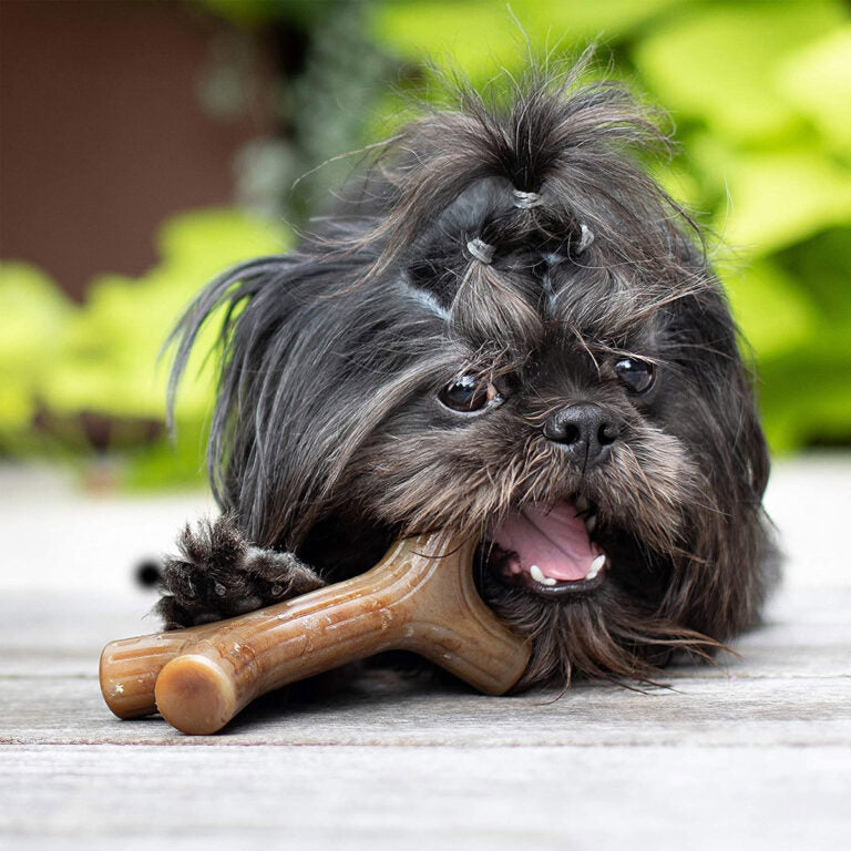 Benebone Bacon Stick Dog Chew Toy