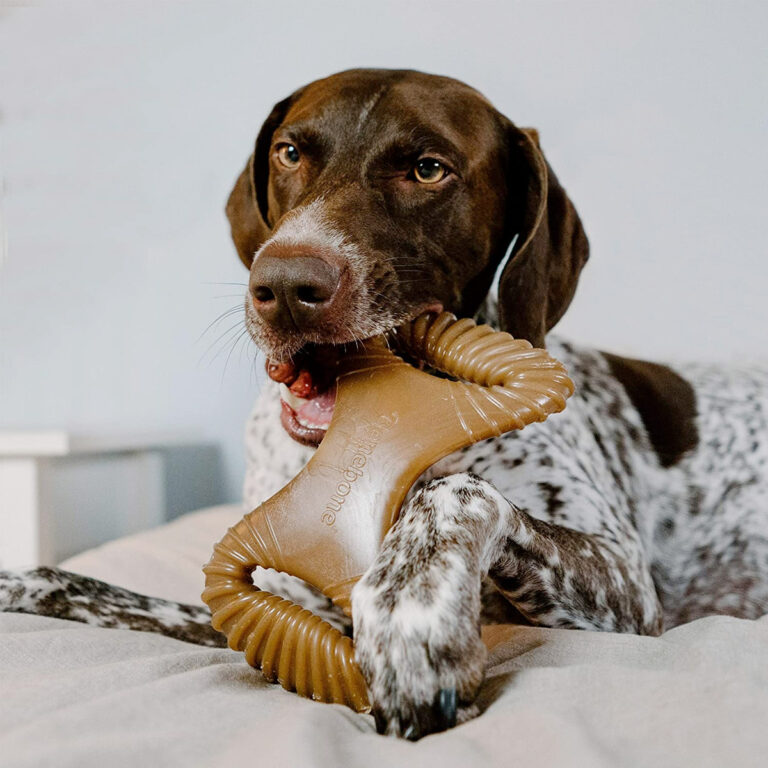 Benebone Dental Dog Chew Toy – Chicken