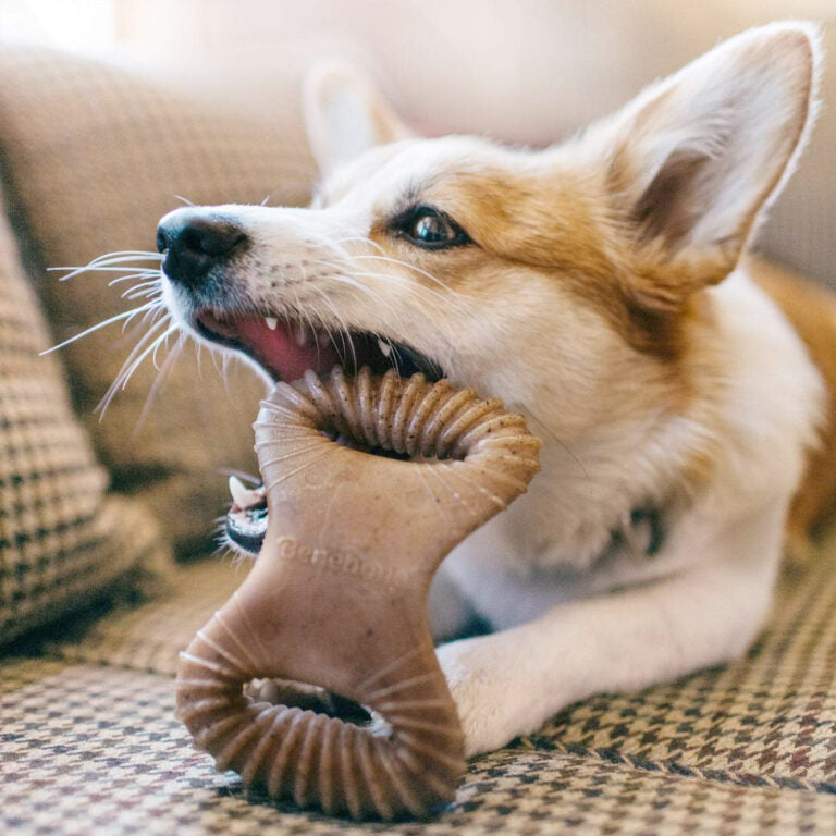 Benebone Dental Dog Chew Toy – Chicken