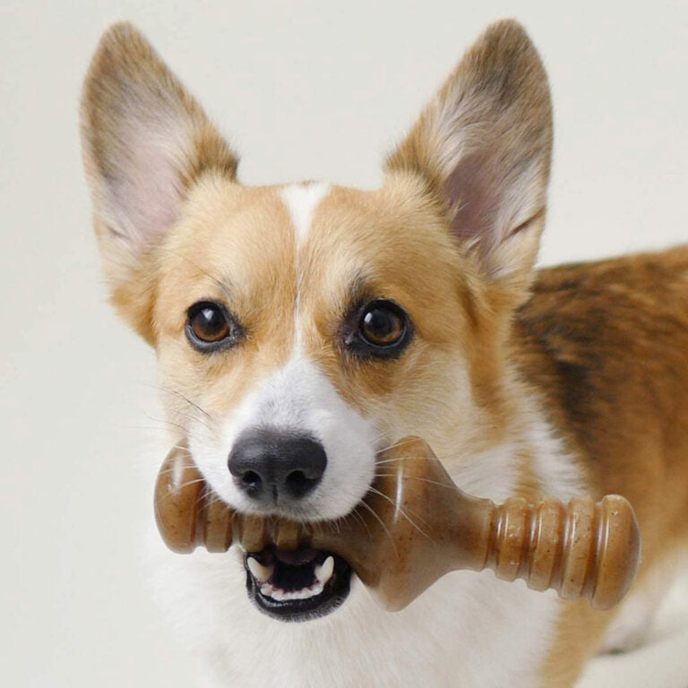 Benebone Zaggler Dog Chew Toy – Chicken