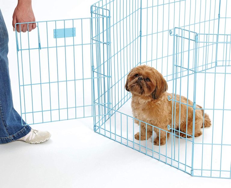 MidWest Blue Exercise Pen with Door 24″