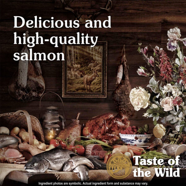 Taste of the Wild: Canyon River Feline Recipe 85gr ( 1Box – 24pcs)