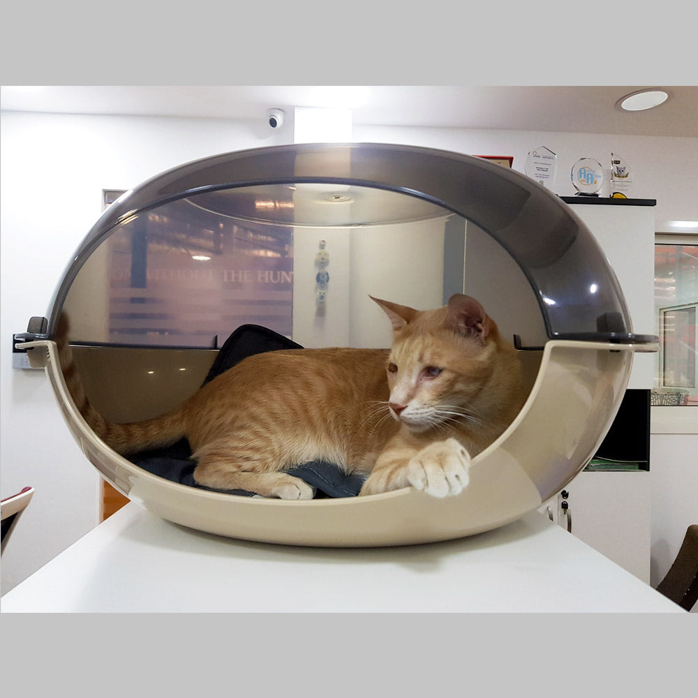 Bergamo Kennel for Cats – Cuccia Luna Fume