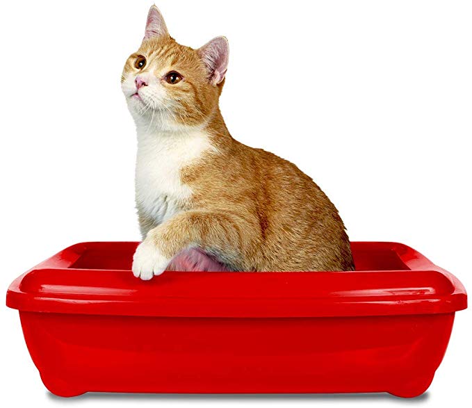 Simple Solution Cat Litter Attractant 255g