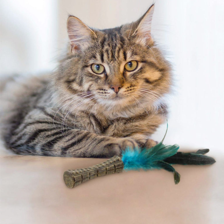 GiGwi Catnip “Johnny Sticks” with Natural Feather (Green)