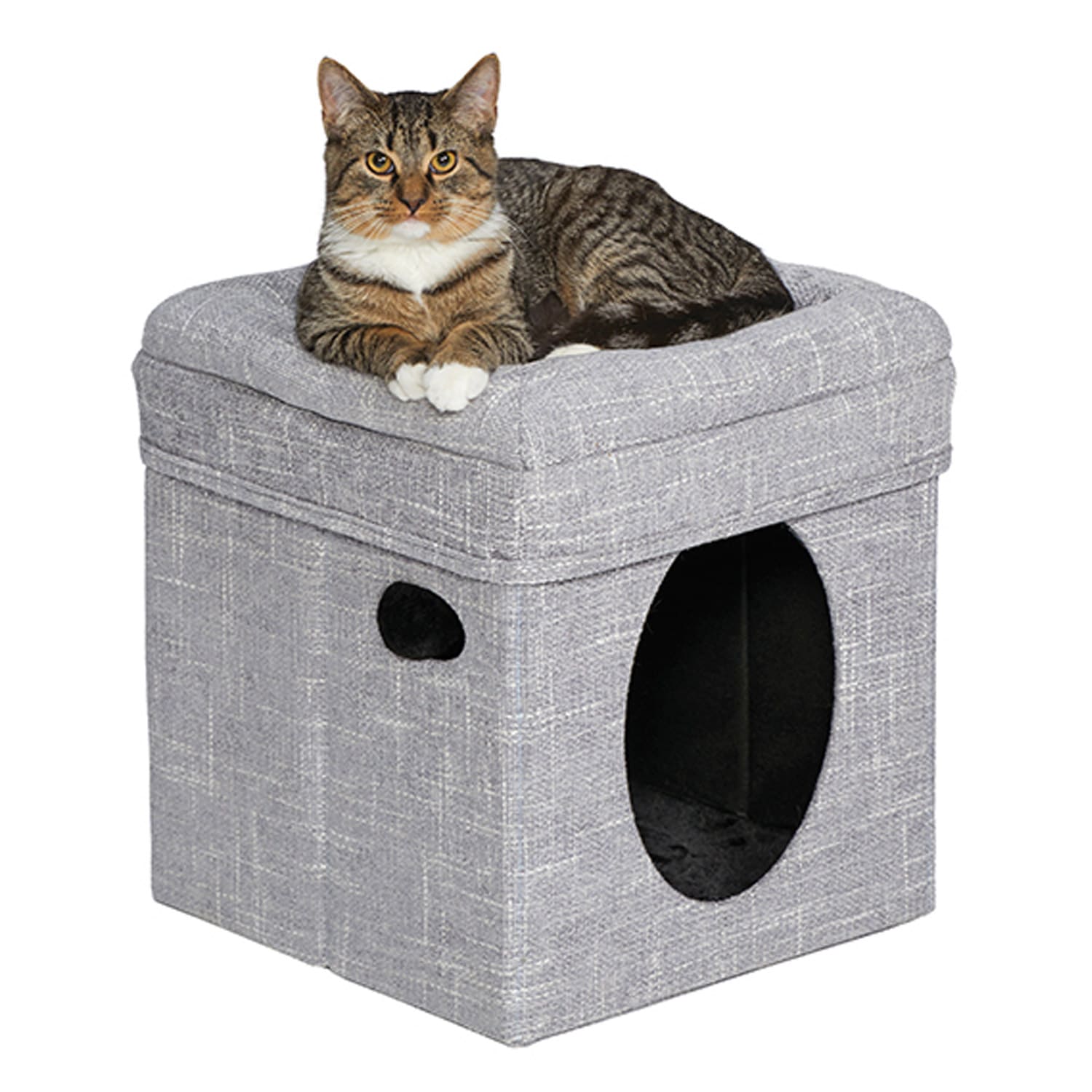 MidWest Curious Cat Cube – Silver