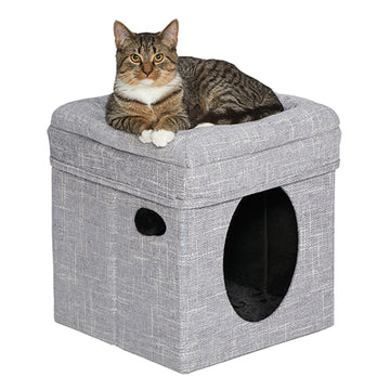 MidWest Curious Cat Cube – Silver