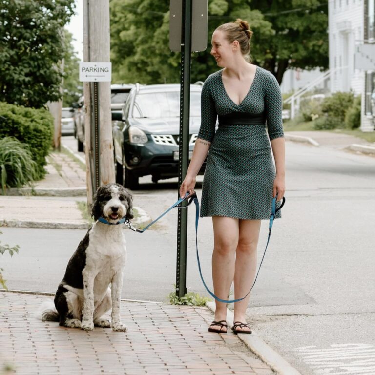Fida Heavy Duty Dog Leash