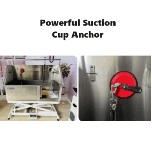 Aeolus Detachable Anchor Suction Cup-12Cm
