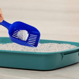 Kiki Kat White Bentonite Clumping Cat Litter –Lavender Fields-10 L