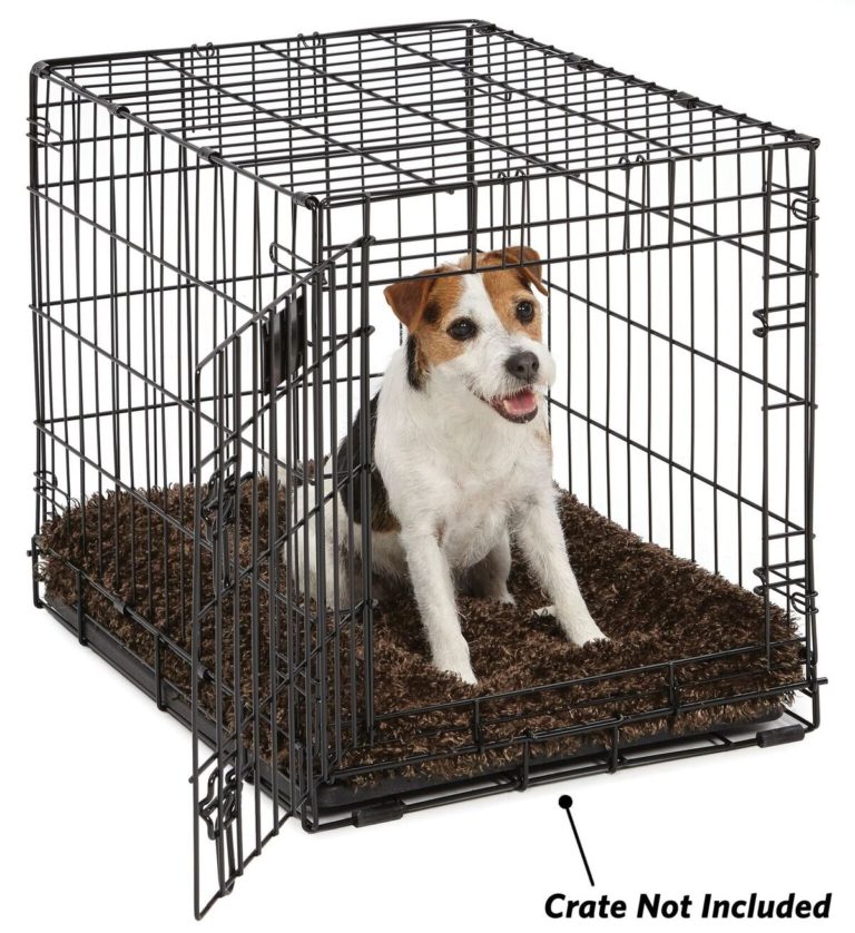 MidWest QuietTime Deluxe CoCo Chic Pet Bed