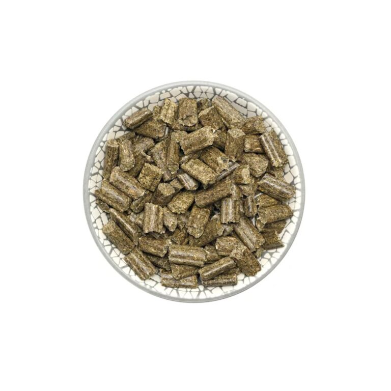 bunny Rabbit Dream Basic 600g