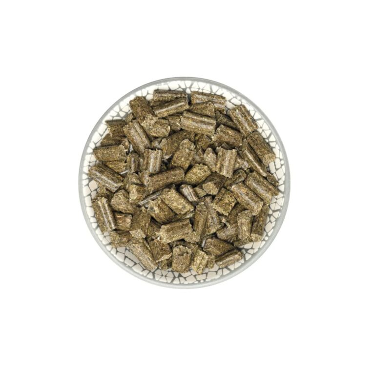 bunny RabbitDream VITALITY 1.5 Kg