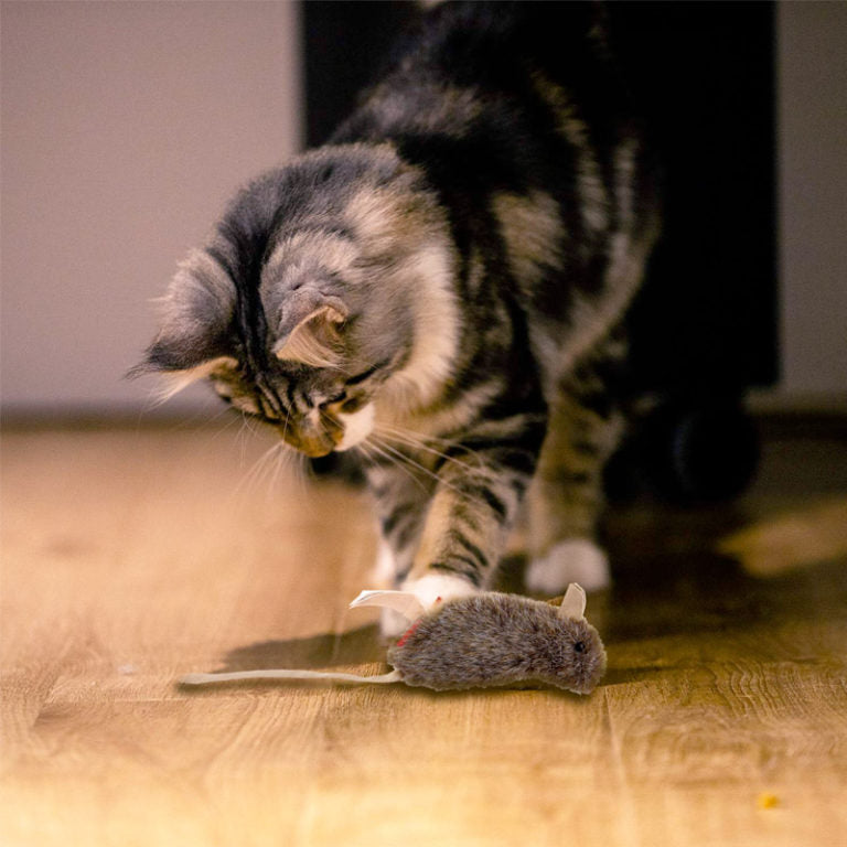 GiGwi Refillable Catnip (Mouse) with 3 catnip teabags in ziplock bag
