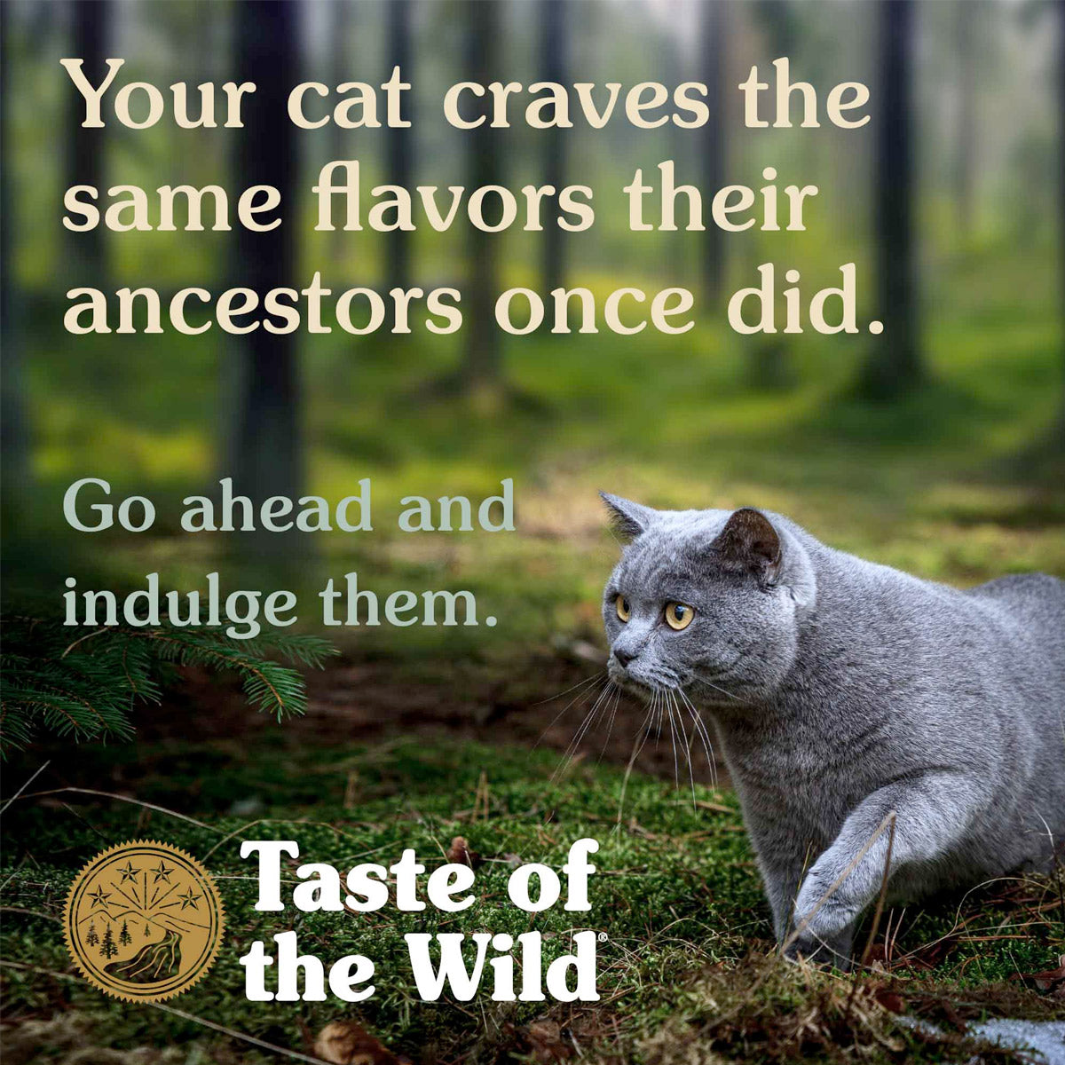 Taste of the Wild : Rocky Mountain Feline Recipe 85gr