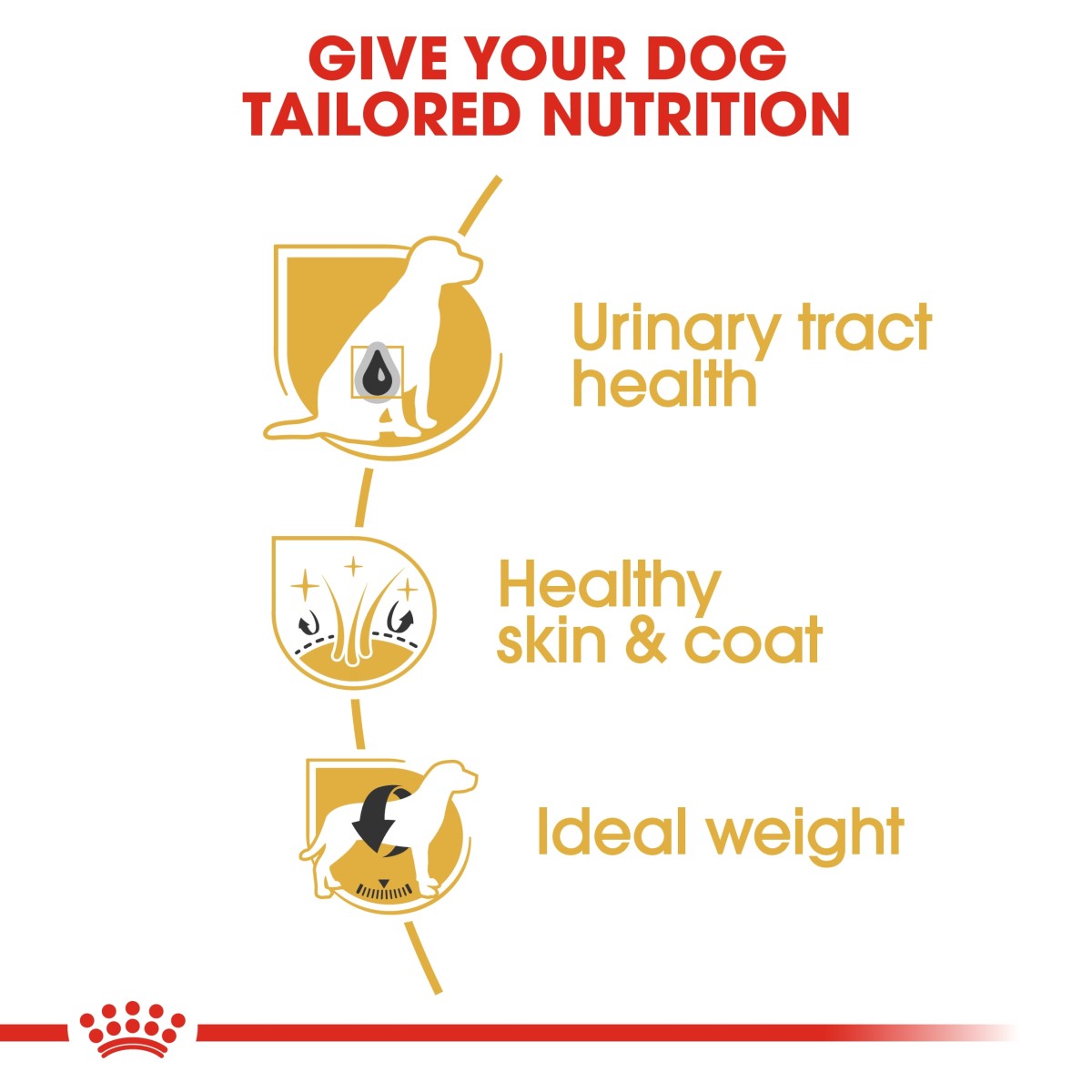 Royal Canin: Breed Health Nutrition Bichon Frise Adult 1.5 kg