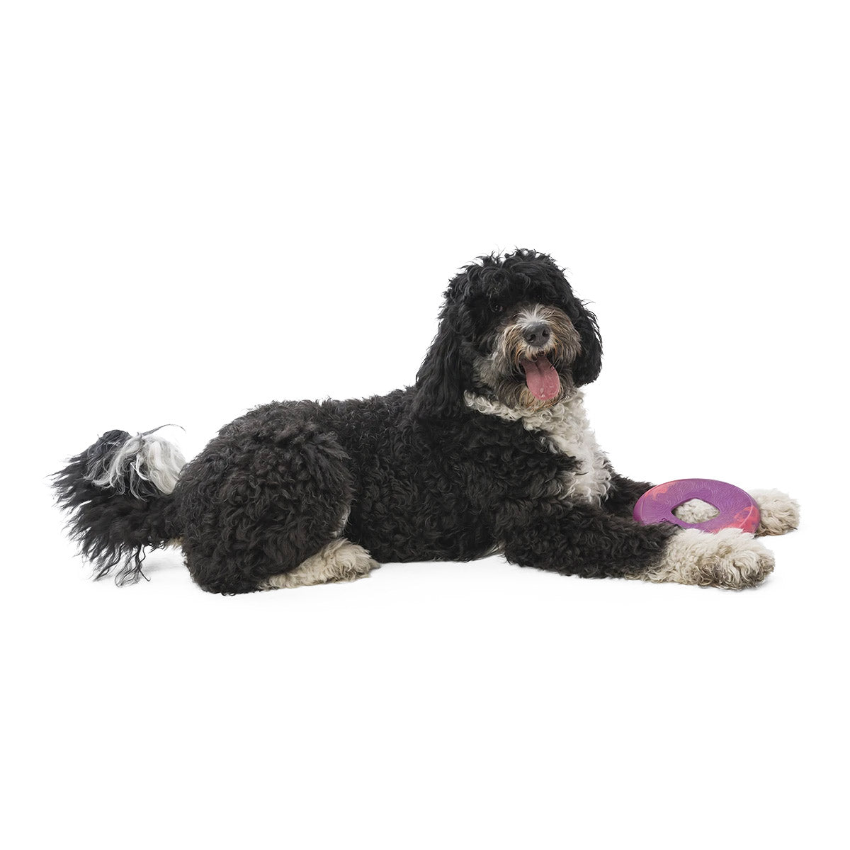 West Paw Sailz Seaflex Frisbee Disc Dog Toy