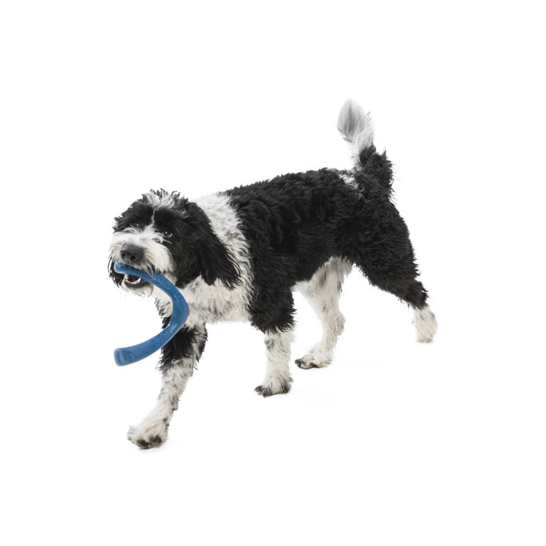 West Paw Snorkl Seaflex Dog Toy