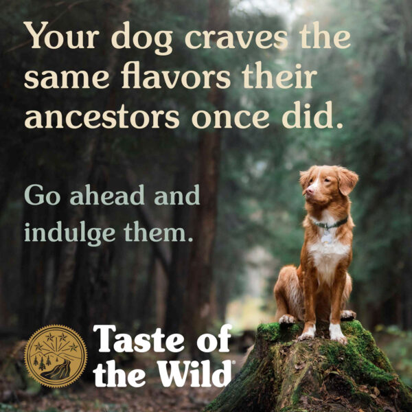 Taste of the Wild: Pine Forest Canine Recipe