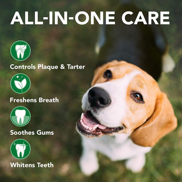 Vet's Best Advanced Dental Spray & Floss Ball for Dogs 120ml