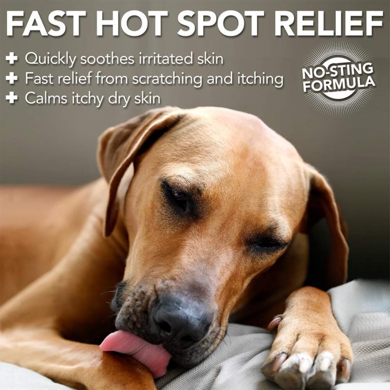 Vet’s Best Allergy Itch Relief Spray for Dogs 8 oz