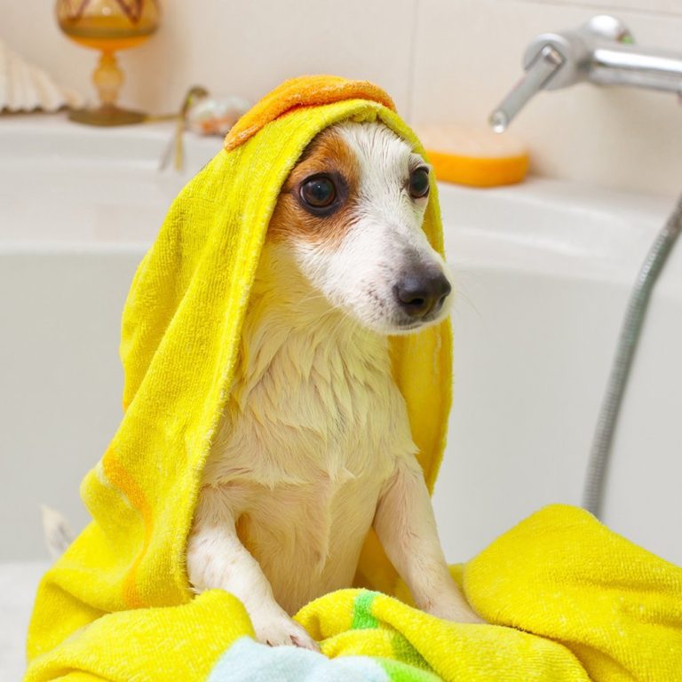 Vet’s Best Hypo-Allergenic Shampoo (16oz)
