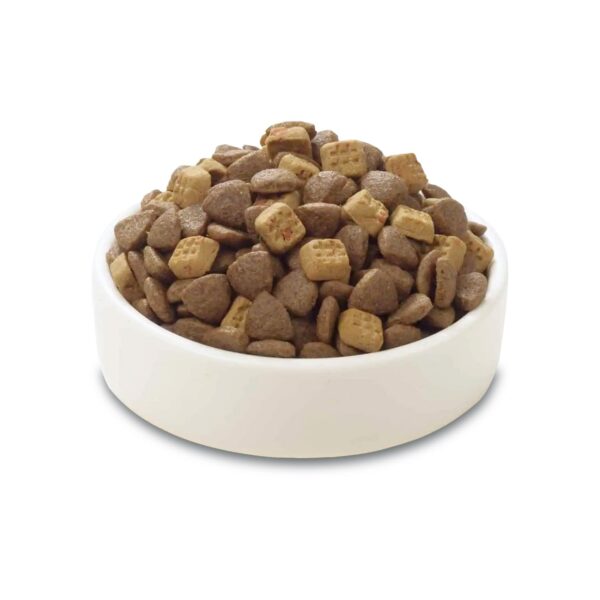 Wanpy Grain Free Complete Food for Adult Cat – Salmon Recipe 1.5 kg