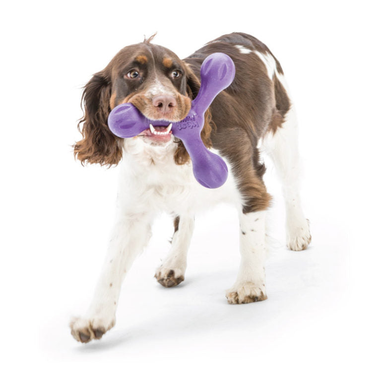 West Paw Westpaw Design Skamp with Zogoflex Echo